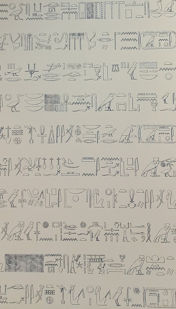 On est prêts ! Et vous ? 👍
C'est aujourd'hui à 15 h l'inauguration de l'exposition " Hiéroglyphes, La méthode Champollion " 🧐 à la Bibliothèque d'étude et du patrimoine, suivie d'une visite guidée à 18h !
#champollion #HiéroghlypheslaMethodeChampollion
