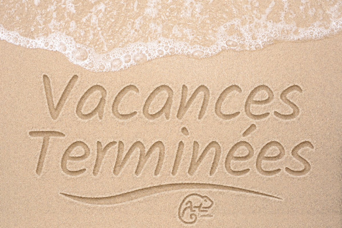 CameleonWeb34's tweet photo. Les vacances sont terminées 😫
On se remet au travail 💪

Et vous comment ça va ?

https://t.co/Srd5SOrSrN https://t.co/EgFpPeOo9P