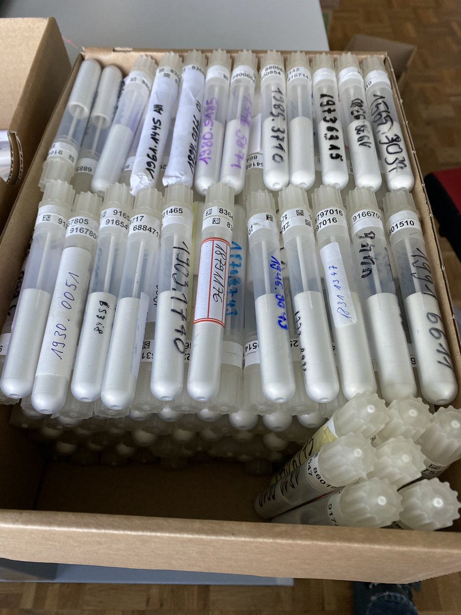 Setting up archive genotypes for 🐑: we‘re shipping today a large batch for  genotyping 🧬👍🏾😃