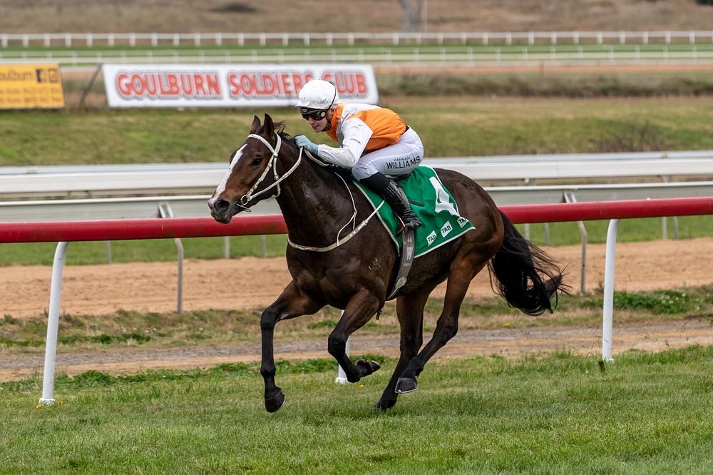 SeibRacing's tweet photo. Charlemagne makes it a winning debut for his new owners!

Settling 2nd last over the 1000m, Hannah was able to save plenty of ground on the corner &amp; take the saloon passage to win comfortably. 

He looks to have a bit of upside &amp; we can’t wait to see him progress in the 🟧 &amp; ⬜️! https://t.co/pDWhdFRl1p