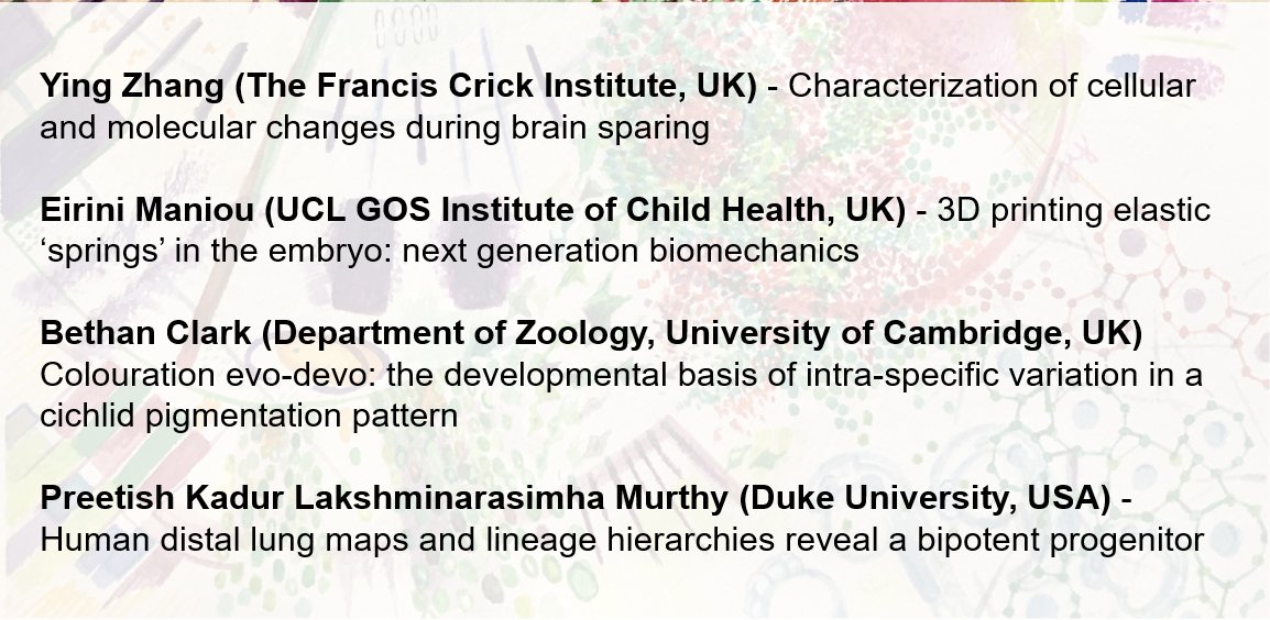 YEN_community's tweet photo. During our second session, Ying Zhang, @EManiou @_Bethan_Clark and @klpreetish will take the stage to talk about brain sparing, lung progenitors, pigmentation patterns and biomechanics 🧠🫁🐠👩‍🔧 https://t.co/0Mp6aM4HiW