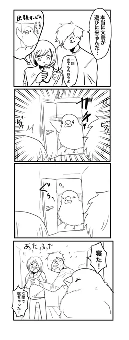 昨日見た謎の夢 