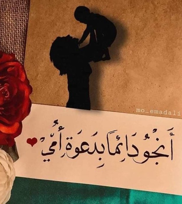 hafid derradji حفيظ دراجي (@derradjihafid) on Twitter photo 