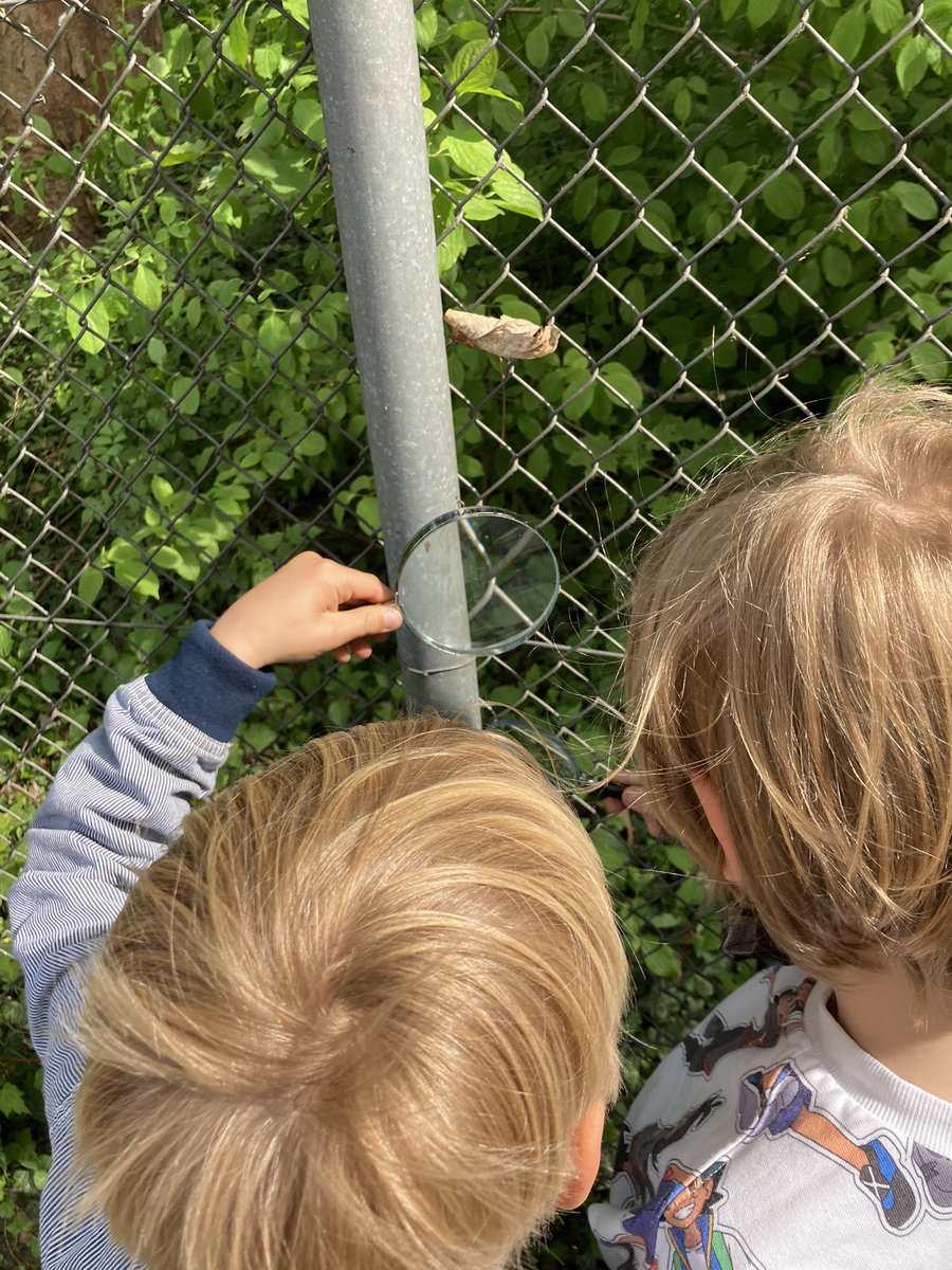 Frida Zylka tweet media