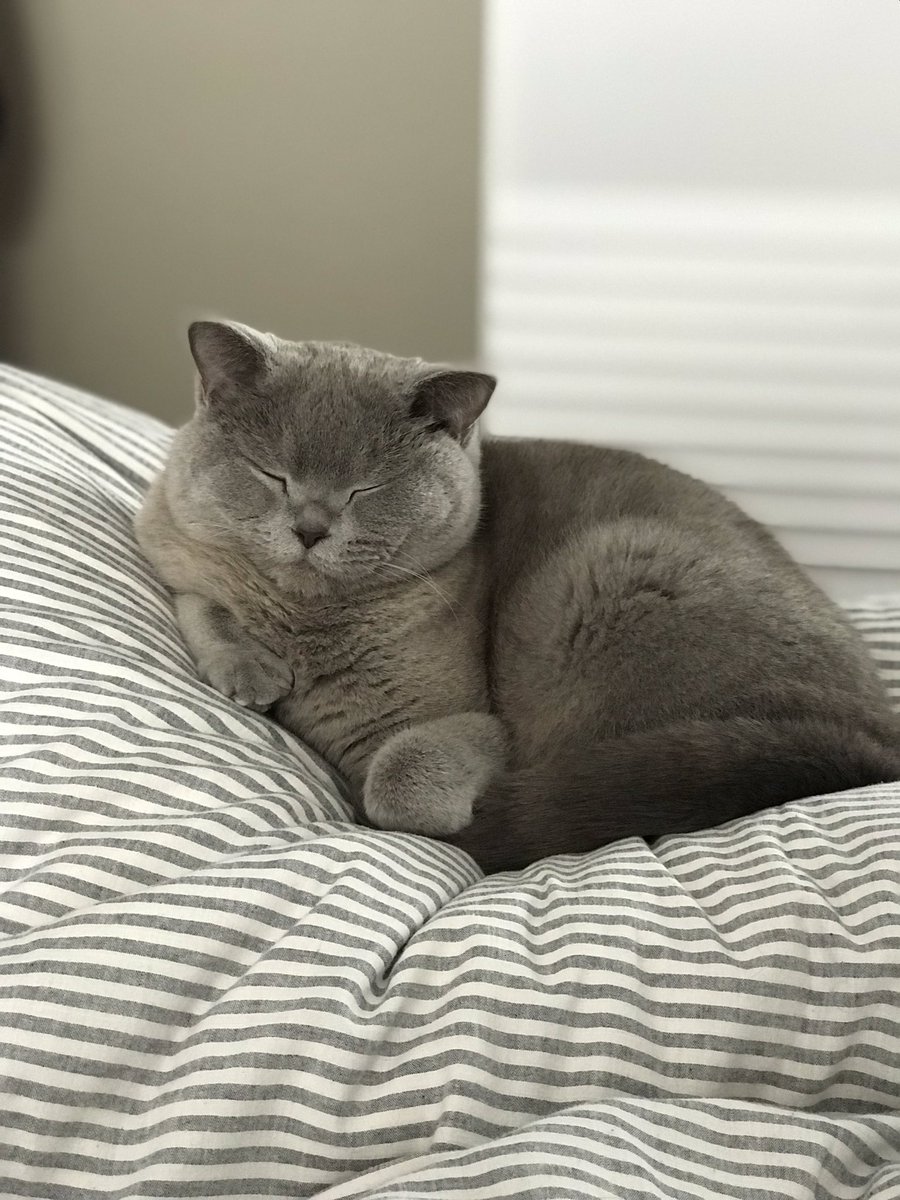 anni bne badades miyim?