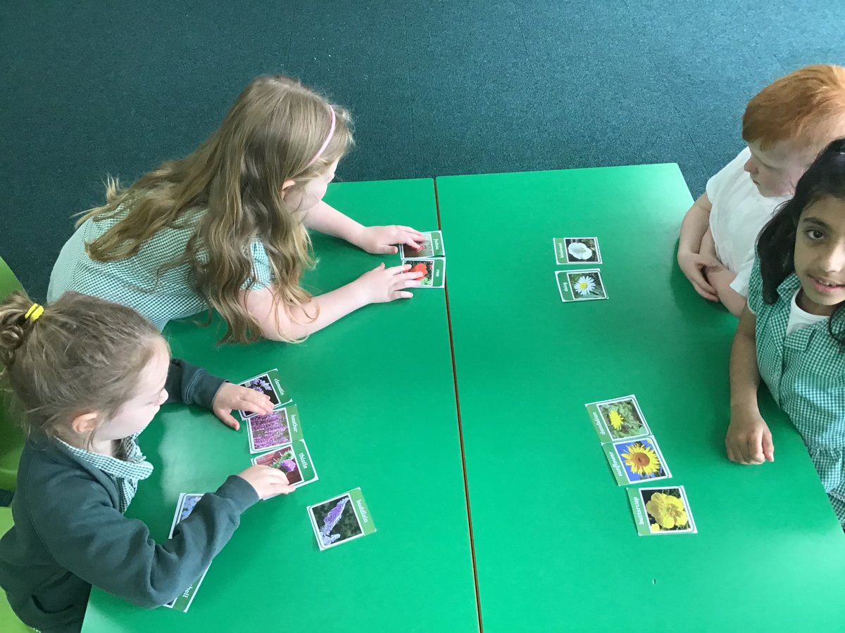BradleyGreenY1's tweet photo. We have been looking at how we can sort different types of plants - by colour, shape, petals, size...  #curiosity https://t.co/KvOk3Y2ycD