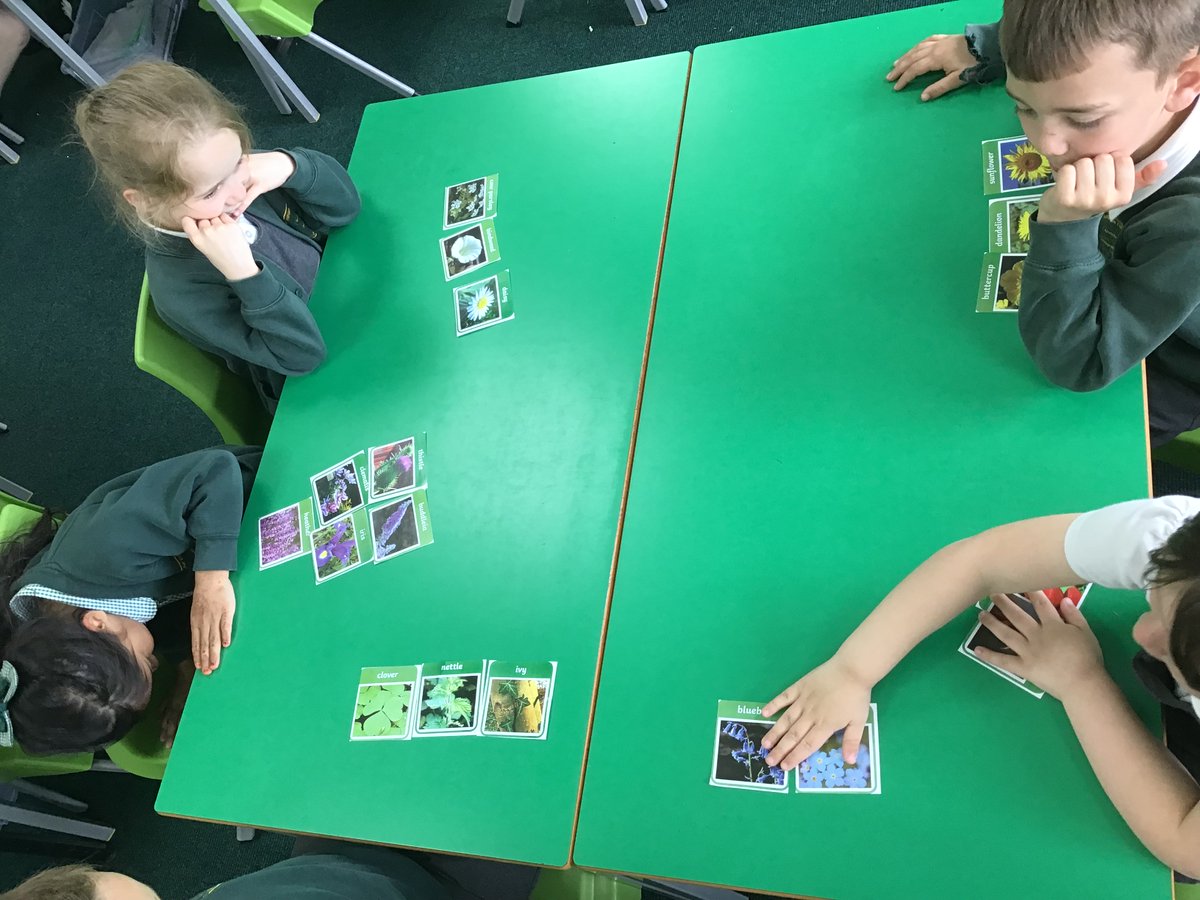 BradleyGreenY1's tweet photo. We have been looking at how we can sort different types of plants - by colour, shape, petals, size...  #curiosity https://t.co/KvOk3Y2ycD