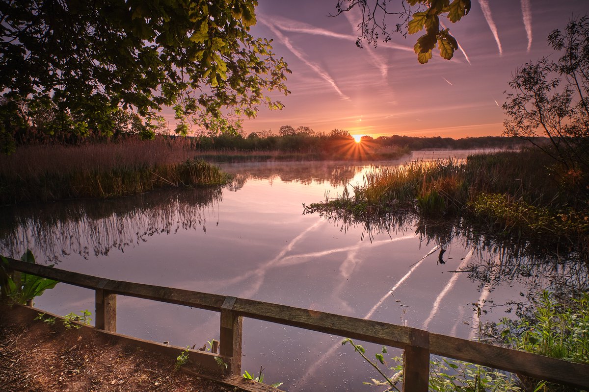 ahronson's tweet photo. The good fortune of living so close to the largest freshwater lake in Hampshire (southern England). Fleet Pond at sunrise. https://t.co/3Z8UZkSZS5
