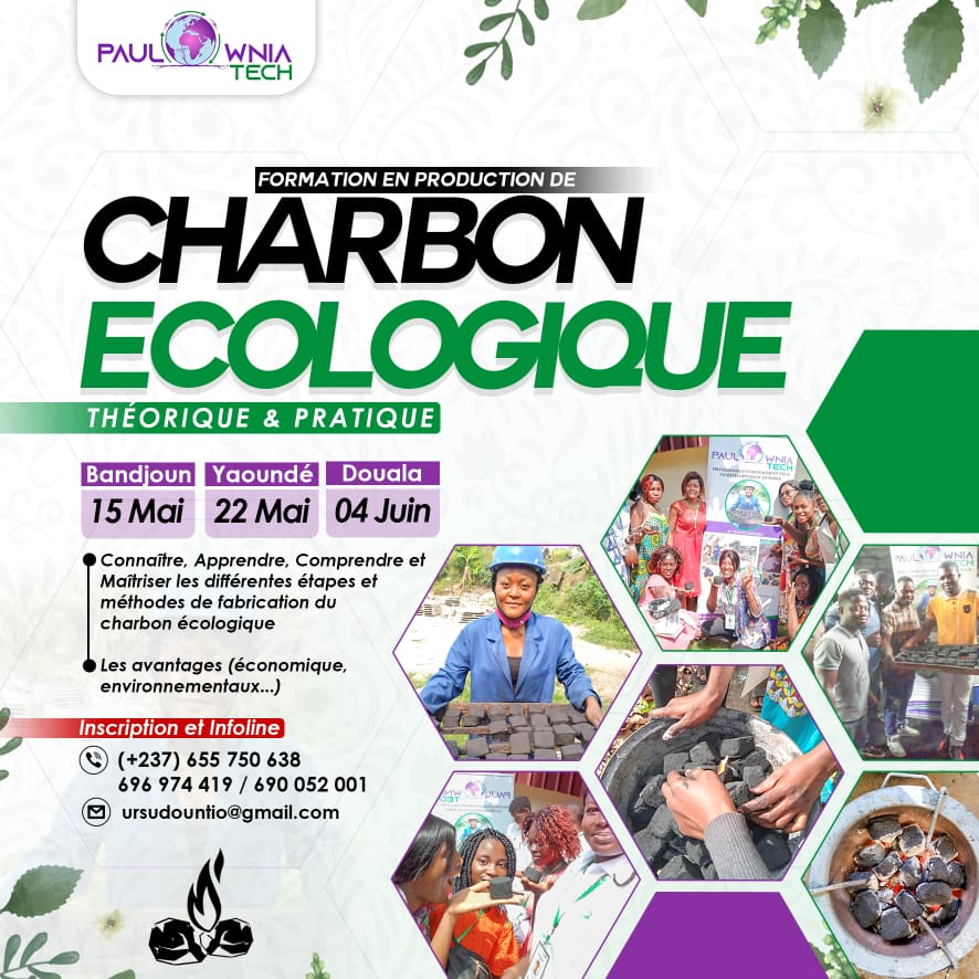PaulowniaTech tweet media