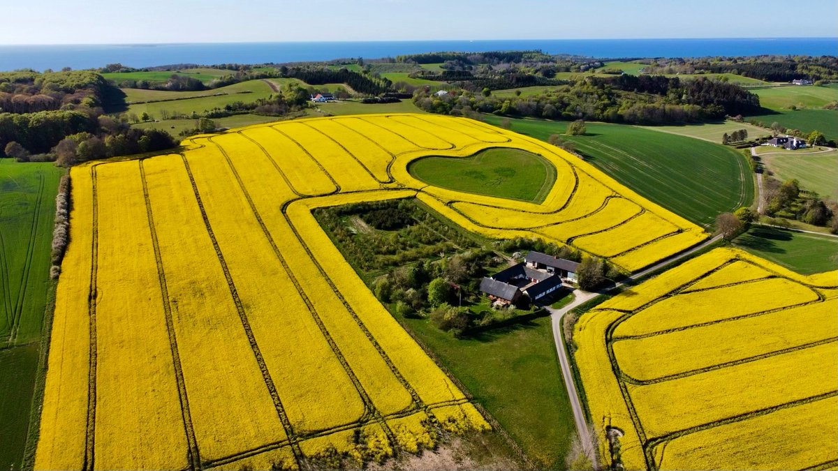 #Denmark is ready to welcome @LeTour this summer💚 