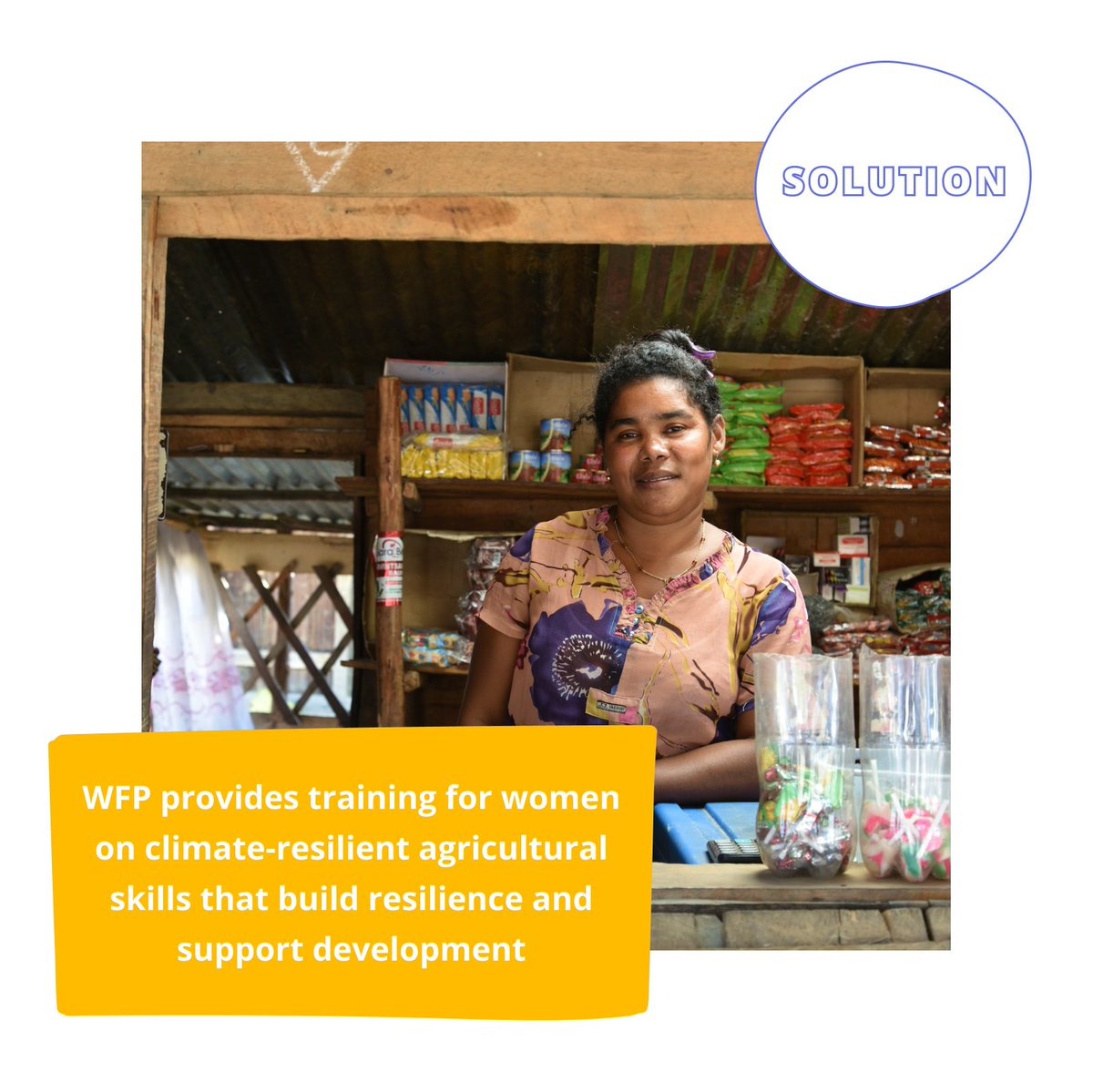 ShareTheMealorg's tweet photo. Zero hunger? #NotWithoutHer ♀️
❓Did you know women and girls are more likely to experience the harsh effects of climate change than men and boys?
✅ WFP provides training for women on climate-resilient skills that build sustainable futures.
We're #strongerwithwomen 💪 https://t.co/eL0HUE7IdP