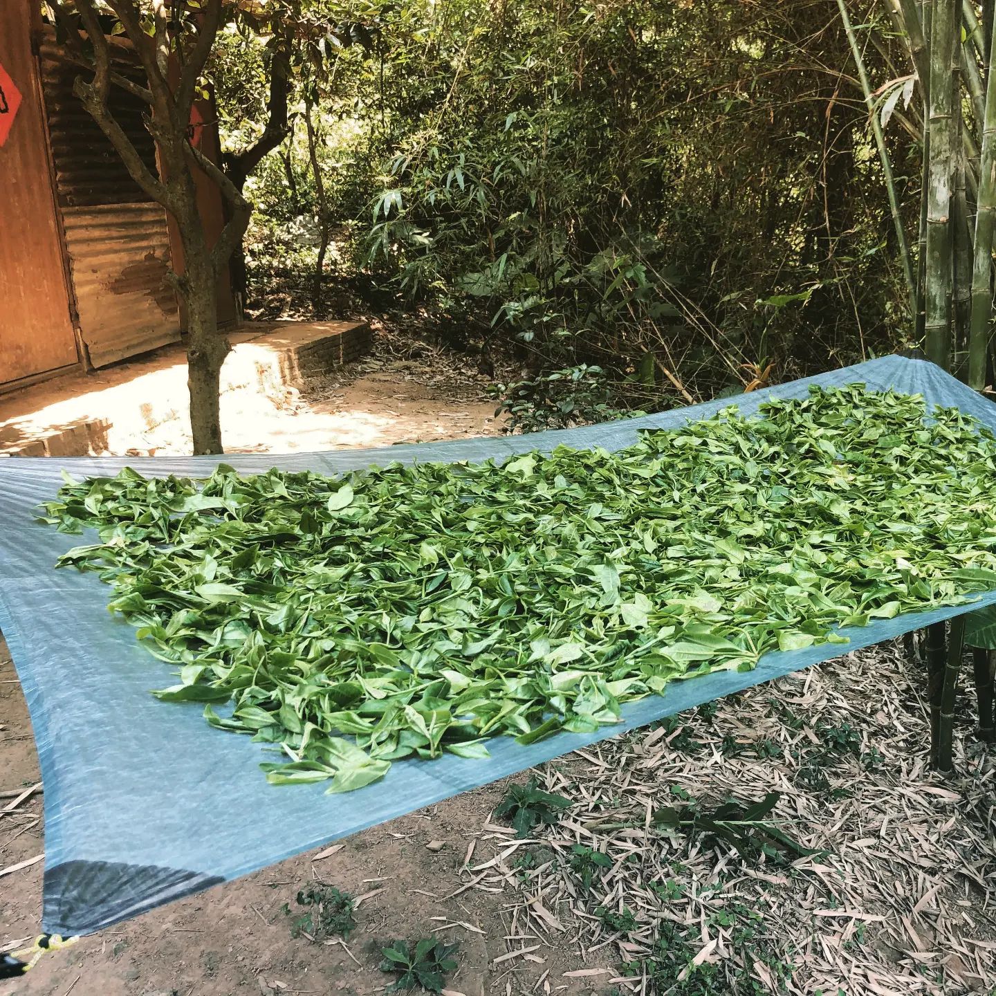 Mountain Gear Lab (mountaingearlab) / Twitter