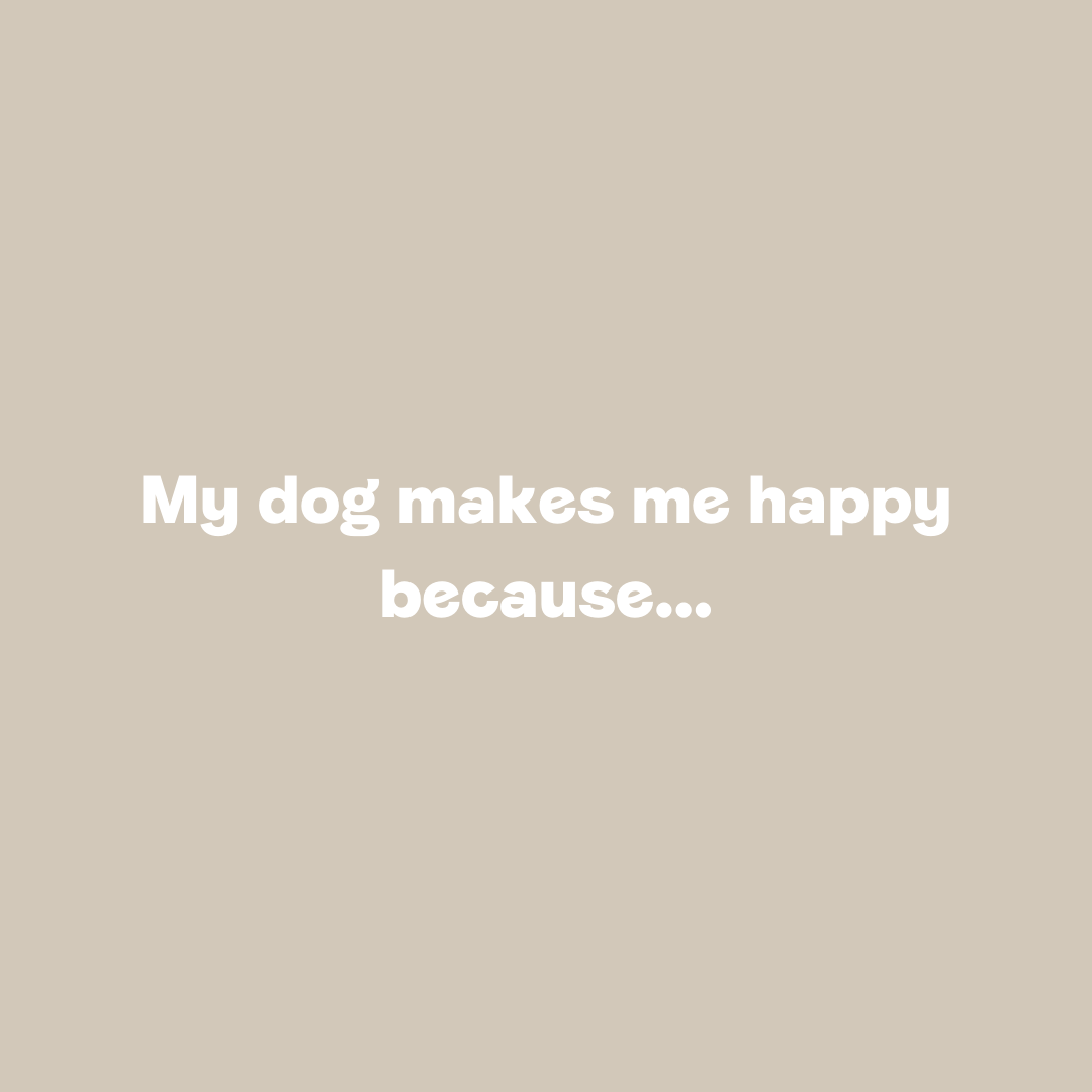 Finish this sentence 👇 💬
Thank you to all the dogs who never fail to make us smile. 💛 🐾 #MentalHealthAwarenessWeek