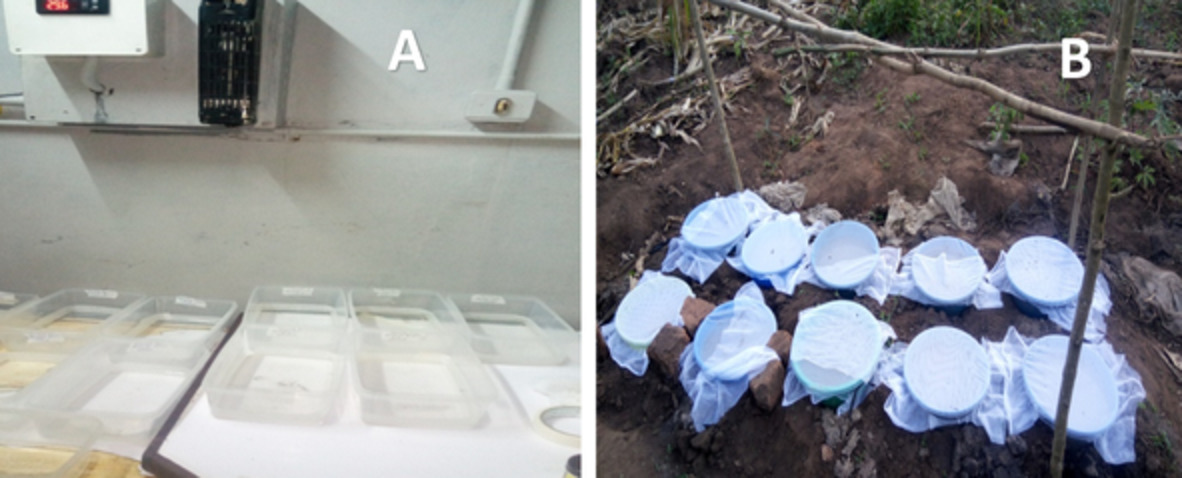 MedVet_Ent's tweet photo. Life-history attributes of juvenile #Anopheles gambiae s.s. in central #Uganda; implications for #malaria #control interventions
#OpenAccess

https://t.co/yyIuxmzvjX

#Entomology #Science #Education #Article #entomopathogens #genetic #modification #larvicides #vector #bionomics https://t.co/UeVOUADJrK