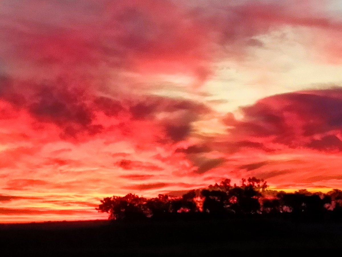 RoseMHarris's tweet photo. When you are halfway across the country and your Dad sends you a sunset picture from home.

Feels like my heart and soul in the sky 💕 https://t.co/dMfhwAqLdF