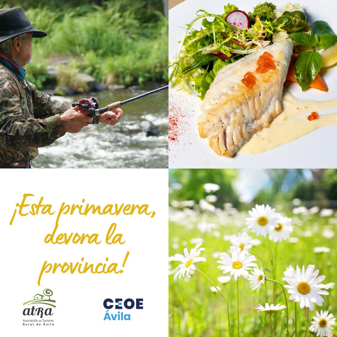 CEOE Ávila (@ceoeavila) on Twitter photo #DevoralaprovinciadeÁvila #DevoraÁvila #Turismorural #Ávila #turismo #provincia #rural #pesca #truchas #río #riachuelo #jara #sedal #caña #salmón <a href="/FHosteleria/">Federación_Abulense_Hostelería</a> #DevoralaprovinciadeÁvila #DevoraÁvila #Turismorural #Ávila #turismo #provincia #rural #pesca #truchas #río #riachuelo #jara #sedal #caña #salmón <a href="/FHosteleria/">Federación_Abulense_Hostelería</a>