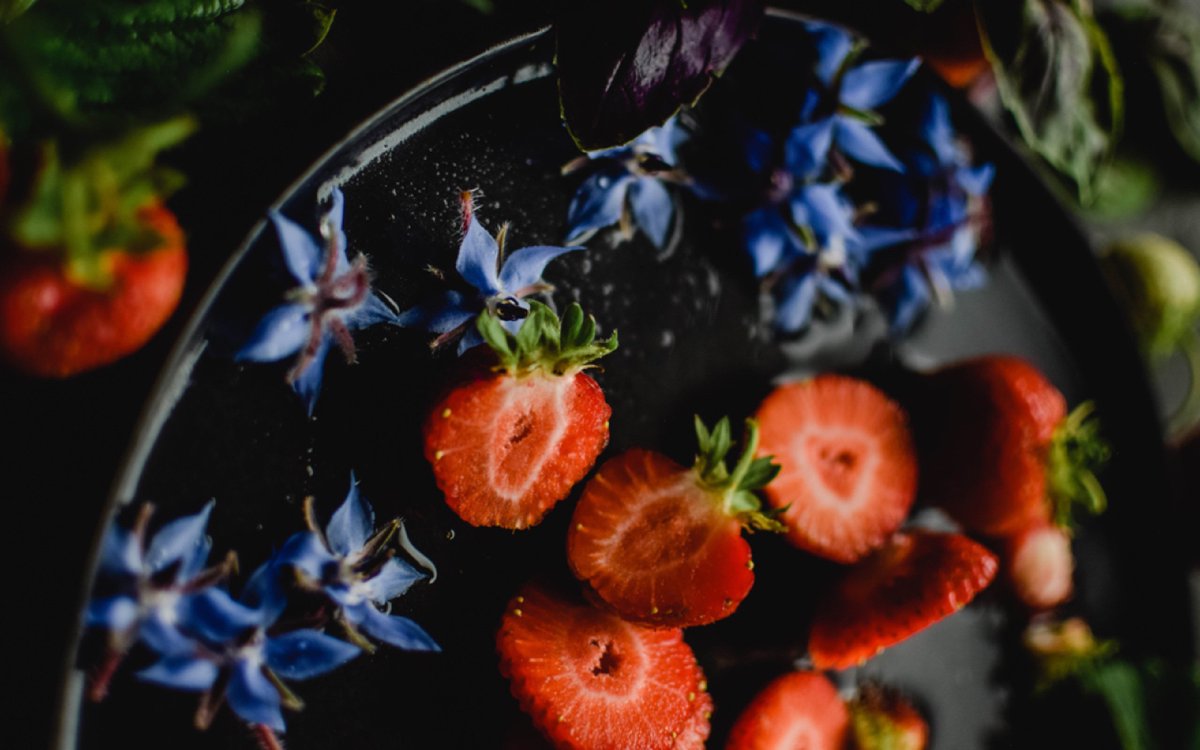 AngelicoLondon's tweet photo. I down loaded this beautiful free picture from Pexels by Eva Elijas. I love the colours and who would have thought of Borage and Strawberries as a combo? https://t.co/e84YPJhrnW #Aantiinflamatory #antioxidants https://t.co/Uiha3veyND