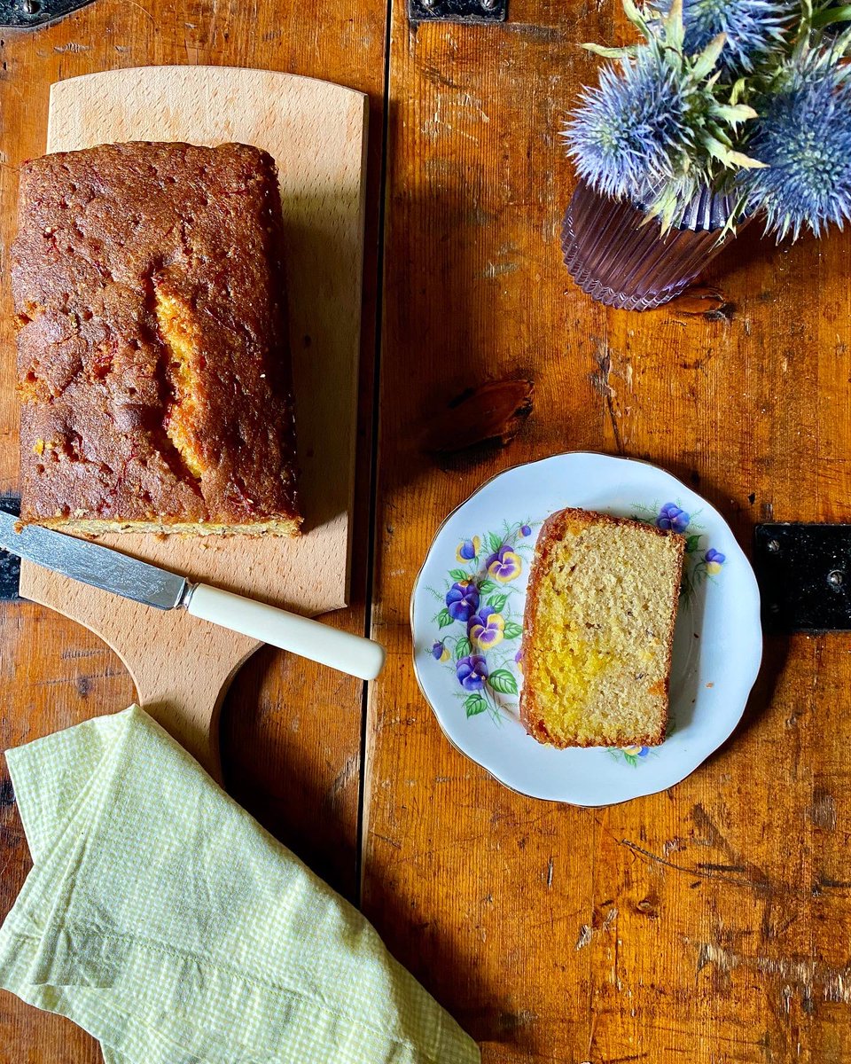 sam bilton tweet media