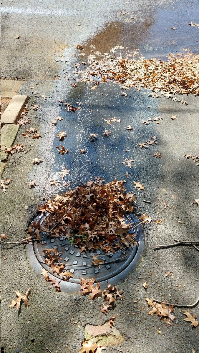 FerdieOffroad's tweet photo. @JHBWater drain leaking on pavement. In front of 15A Caithness Road, Blairgowrie, Randburg. Nearest corner is Gordon Road https://t.co/hsDjzc08EB