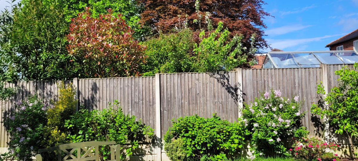 HKerschl's tweet photo. Do you know the feeling when you wake up on a Tuesday desperate for a lie-in, and realize it's #notSaturday? But I'm on the home stretch with a 140,000-words project, the sun is making an appearance in #Stockport, so Tuesday is fine with me π https://t.co/E3qnBcmEY1