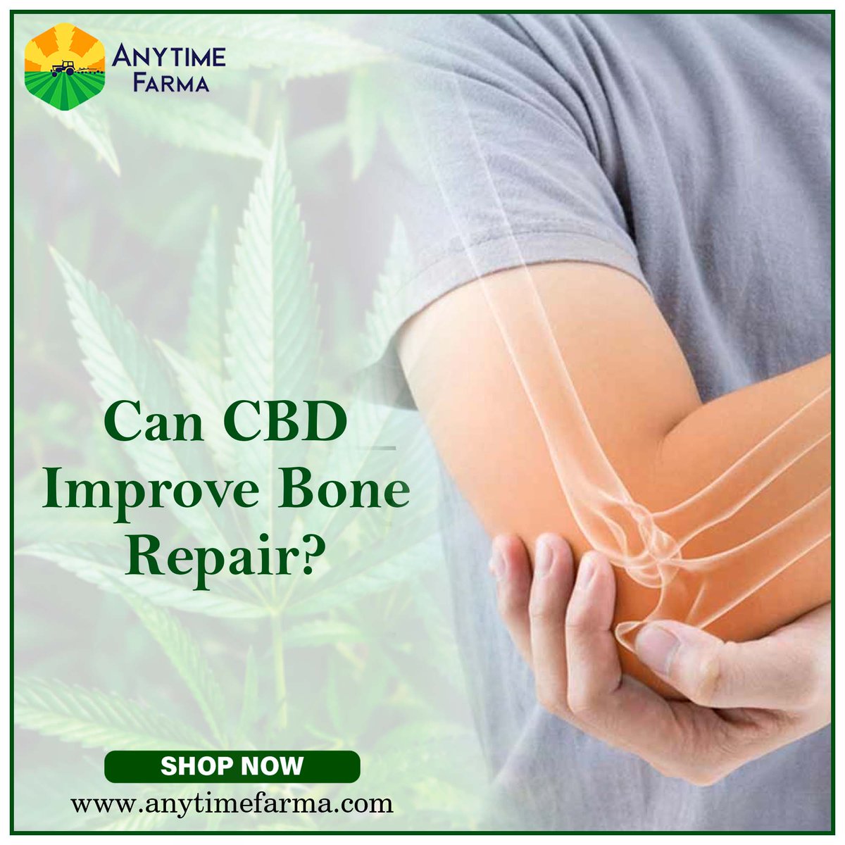 AnytimeFarma's tweet photo. CBD can be used to restore bone health, especially in older patients. CBD helps in improving bone mass and boosts bone repair and growth
https://t.co/DlU7EClBh3.
#Hemp #CBD #cbdproducts #cbdhealth #alternativehealth #alternativehealthcare #anytimefarma https://t.co/pjjka42kNr