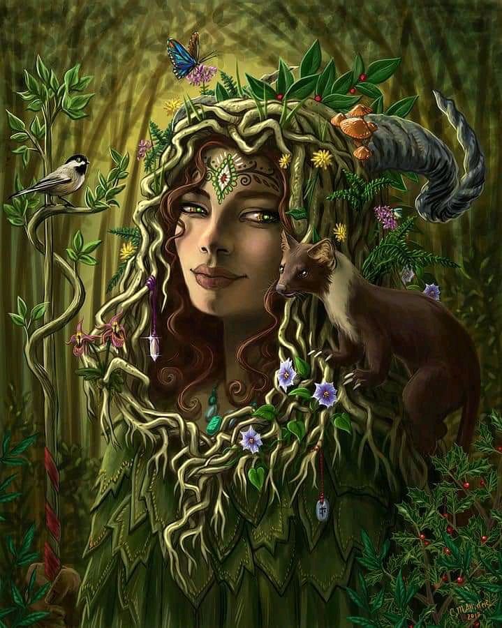 Ethical Soul tweet media