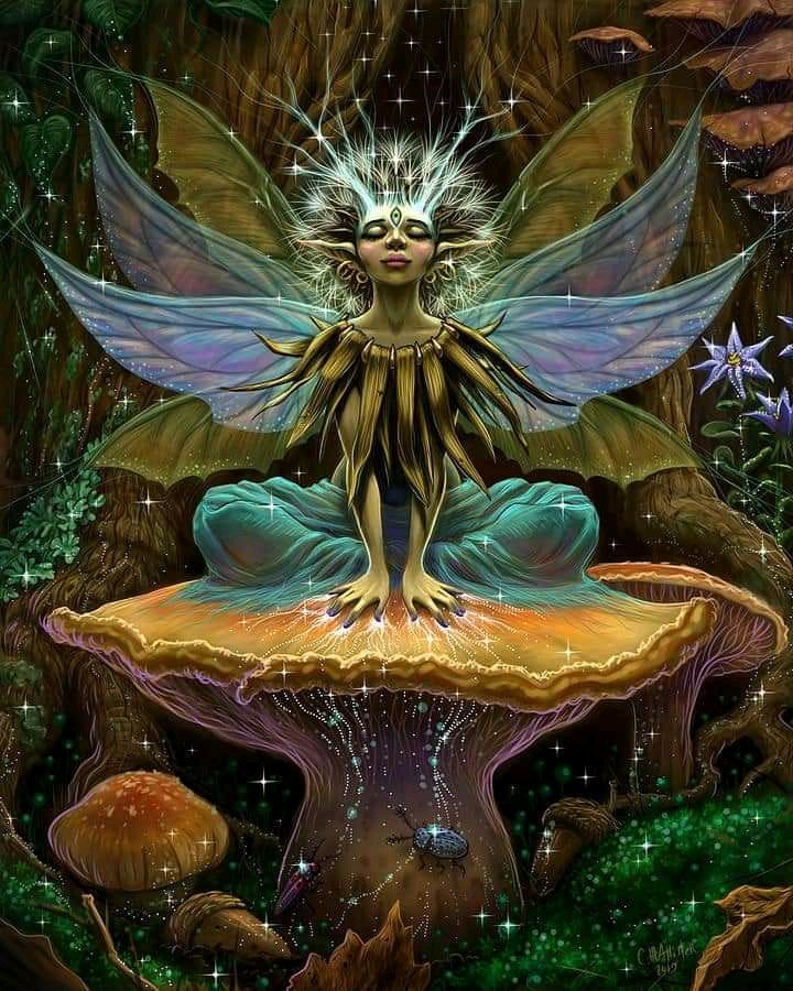 Ethical Soul tweet media