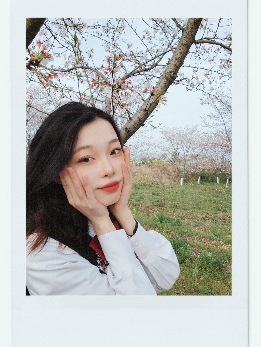 zangdehui's tweet photo. 春天时期的照片呀😇 https://t.co/VhgmAKMZeB