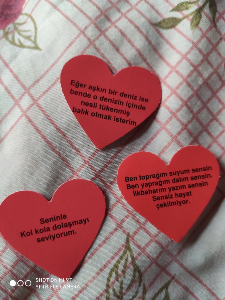 Halis Doğan (@halisdo71909634) on Twitter photo 