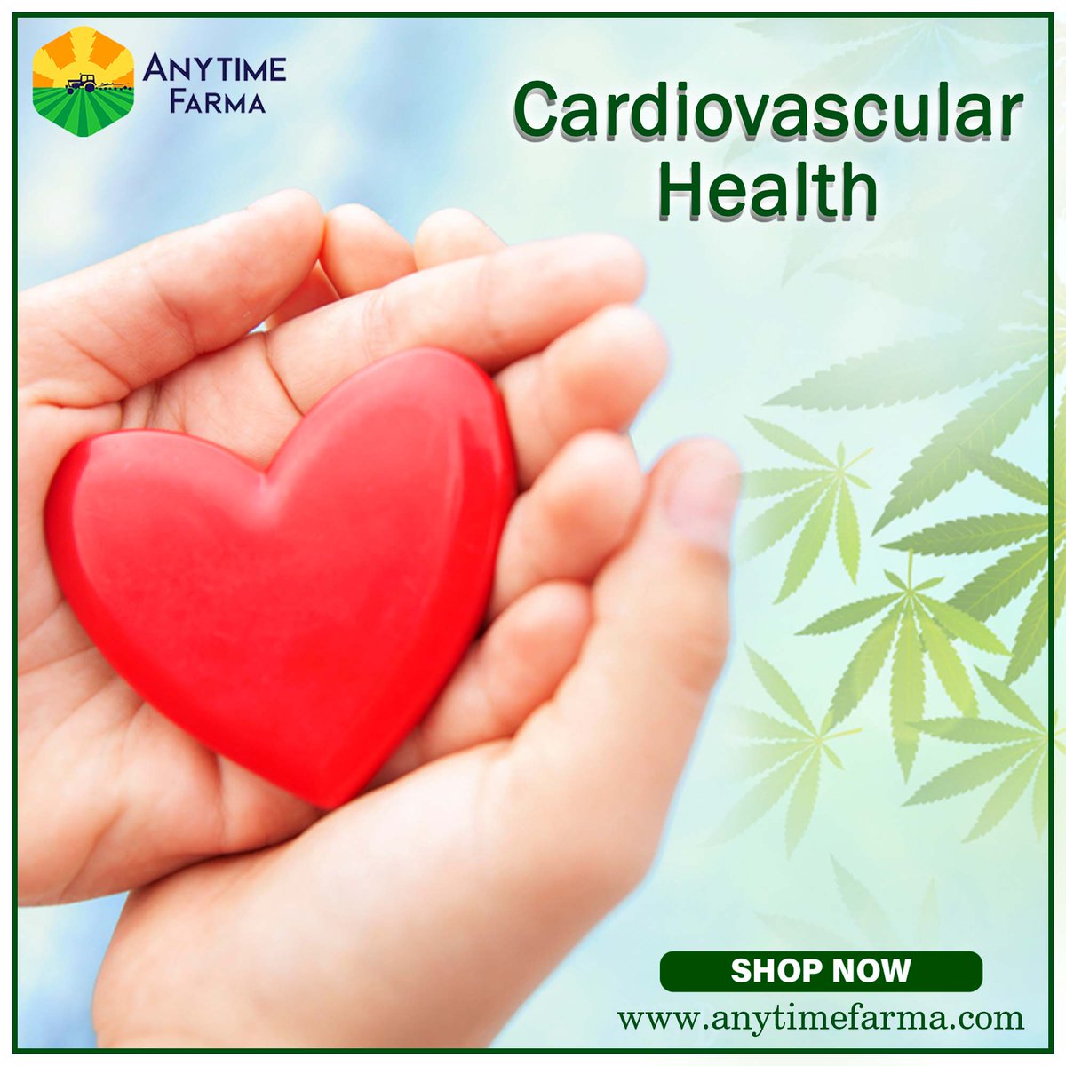 AnytimeFarma's tweet photo. A healthy diet, lifestyle, and light exercise are the keys to a healthy heart and a healthy body. A number of physicians have recommended using CBD oil in conjunction with other traditional medicine for the heart.
#Hemp #CBD #cbdproducts #cbdhealth #alternativehealth https://t.co/orNMAydSvP