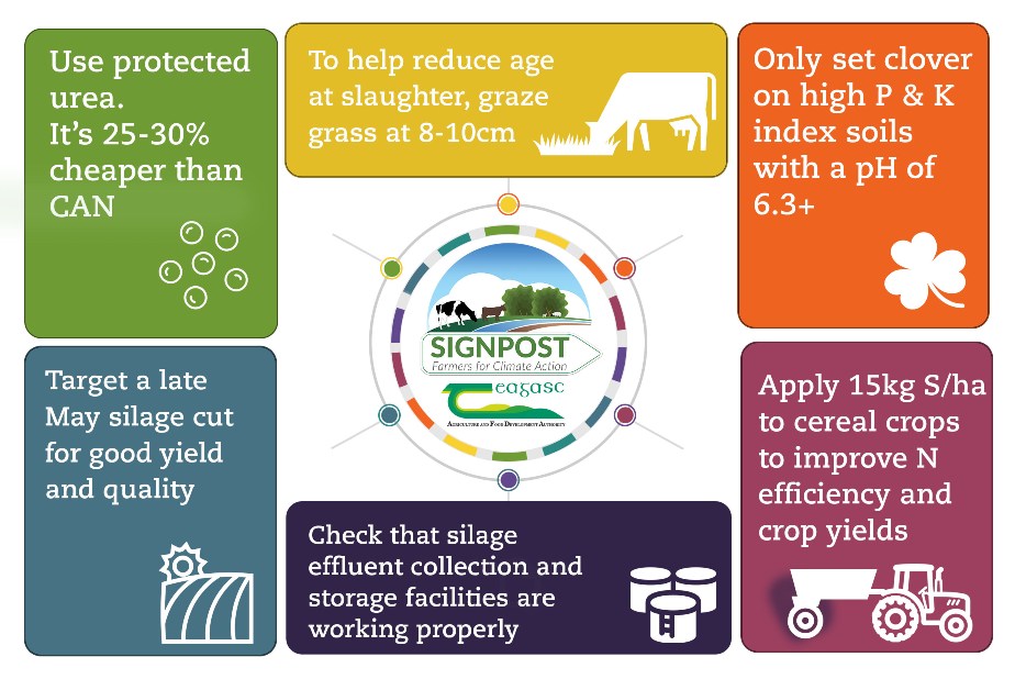 Drinaghagri's tweet photo. Some helpful tips for the month of May.
🚜
For more info check out:
https://t.co/eqzJN0mbJp
🐄
#signpostprogramme #ClimateAction ##Teagasc https://t.co/vPngx9AUjd