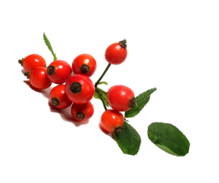 #beauty #OrganicNetwork #green #EconTwitter 
greenenergy-organics.com