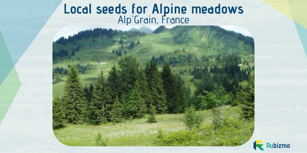 ⛷️ #Ski-areas look great in the winter, but in summer it´s often the opposite. To prevent #soil erosion #Alp`Grain relies on local seeds which are often more resilient in restoration of mountain grasslands!

👉 fal.cn/3otsL

#RuralInnovation