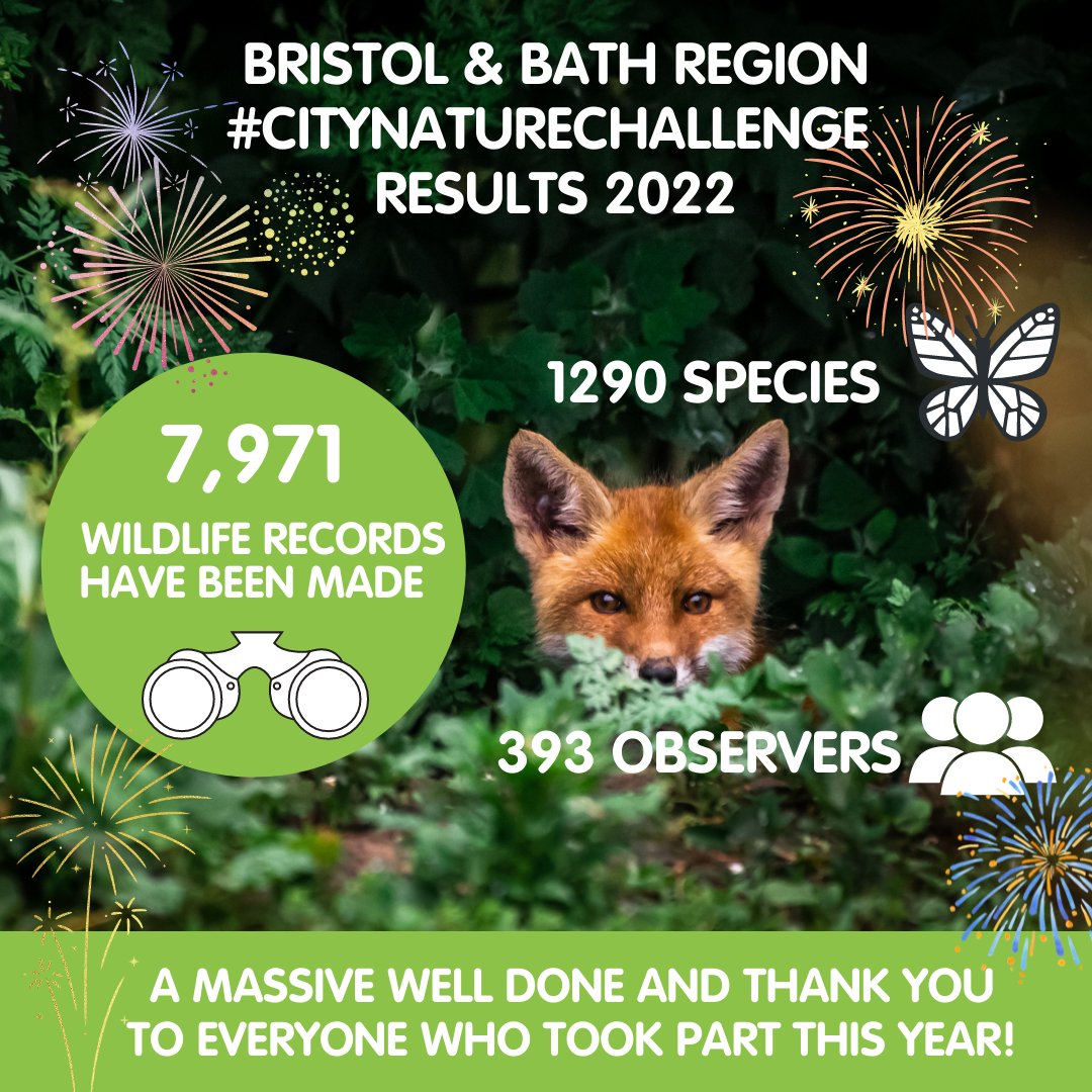 And the results are in! What an incredible #CityNatureChallenge across the Bristol &amp; Bath region! 💥

7,971 observations of 1,290 species by 393 observers across four days! ✨

Around the world the challenge recorded a whopping 1.6 million observations, of over 50,000 species! 🦋