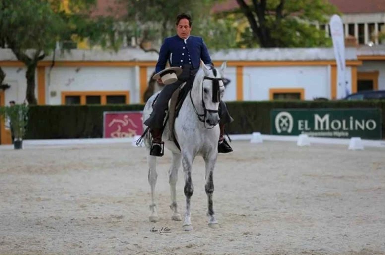 aeccaa's tweet photo. 🔹️Ya quedan pocos días para el Concurso Morfológico de la Feria del Caballo de Jerez,que tiene más de 2.000 euros en premios para la raza Anglo-árabe.El plazo de inscripción está abierto.  
📸 Feria de Jerez 2021
➡️ Más info: https://t.co/bIzf40c9fS 
#angloarabe
#FeriadeJerez https://t.co/bViSBR1pAb