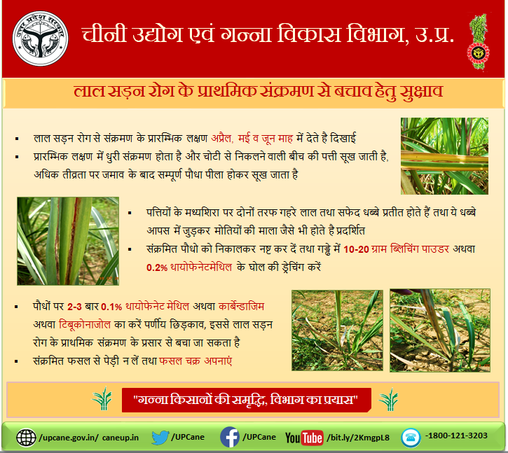 Cane Development UP tweet media
