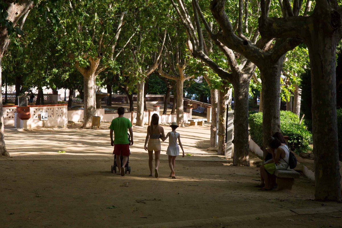 calellacfo's tweet photo. 🌲El Parc Dalmau és una localització amb més de 18,4 hectàrees d'espai natural amb jardins i boscos mediterranis formats essencialment per pins pinyers i alzines.

Localitzacions, permisos, equip o allotjament 👉 https://t.co/nIvQeXl84T 

#calellaciutatplató https://t.co/DxI4yUG0Ic