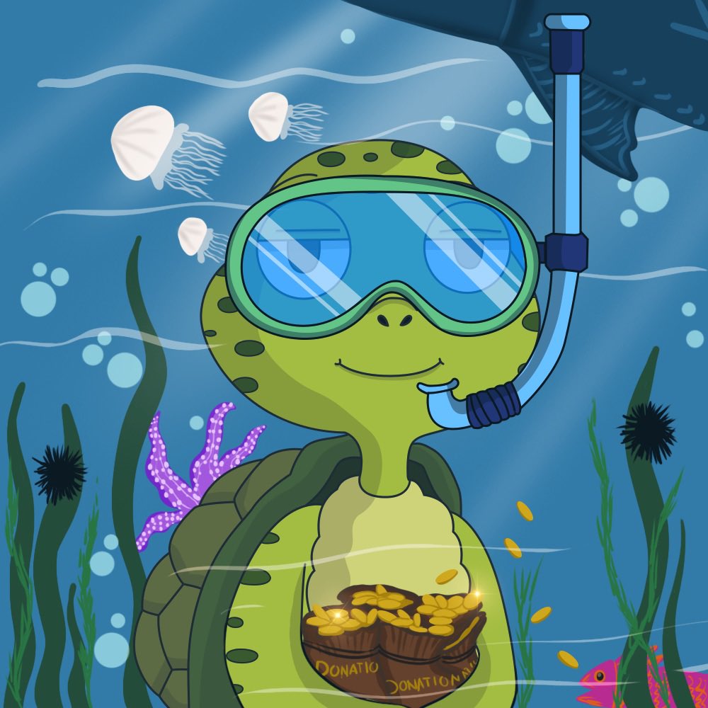 Turtle_NestNFT's tweet photo. 🚀🚀 MINT DAY 🚀🚀 50% of all profits goes to charity 🙌🏼♻️. #GreenChipNFT https://t.co/eKaINqYY09