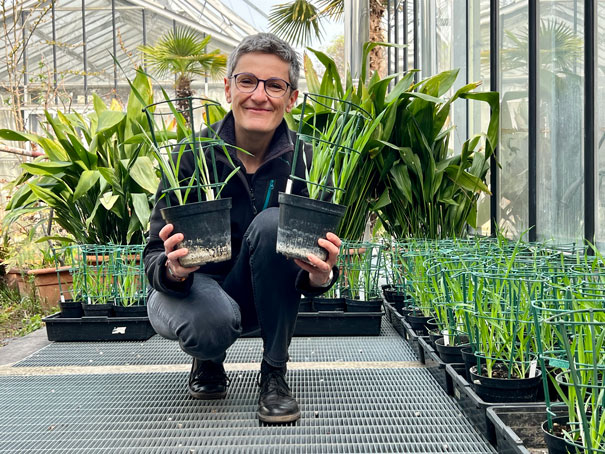 disaa_press's tweet photo. #MeetTheProfessors #DiSAA 🙌
Laura Rossini docente di Genetica Agraria racconta i progetti #EU a cui lei e il suo team stanno lavorando
@BaristaFor #Mendel200 @HorizonEU
#genetics #plantsgenetics #barley #mendel
https://t.co/AlXGFFtJ0P https://t.co/L8JBvao0AR
