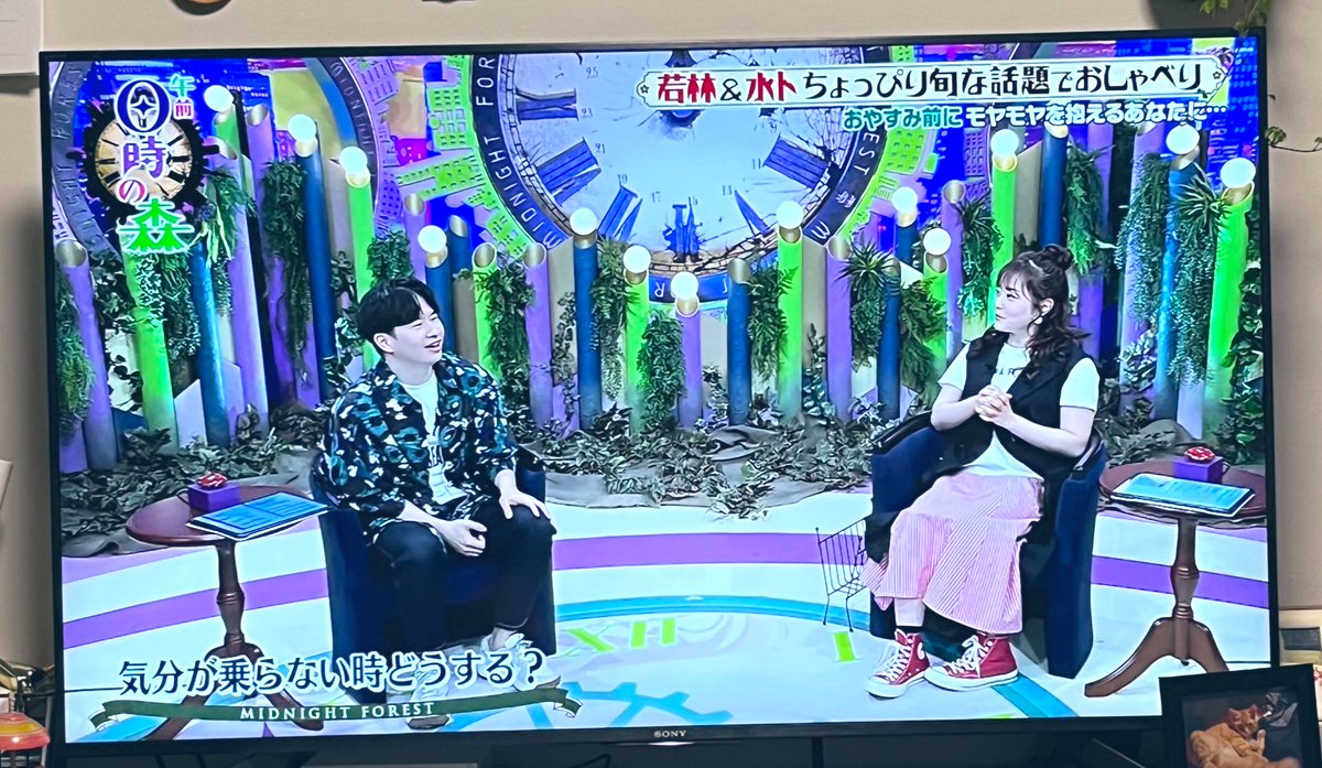 pekiwhite's tweet photo. 流れを読まず投稿だズェ‼️
みとちゃん赤コンバースハイカット履いてるやん…ビッグライバルやん…

#DEMOver.最高 https://t.co/Z6McdG8c2Y