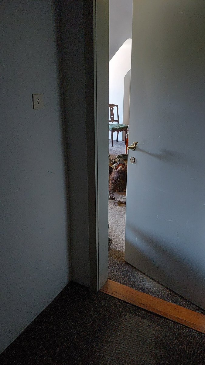 DontBanAgain's tweet photo. just scared the shit out of me https://t.co/ixyx3vjudE