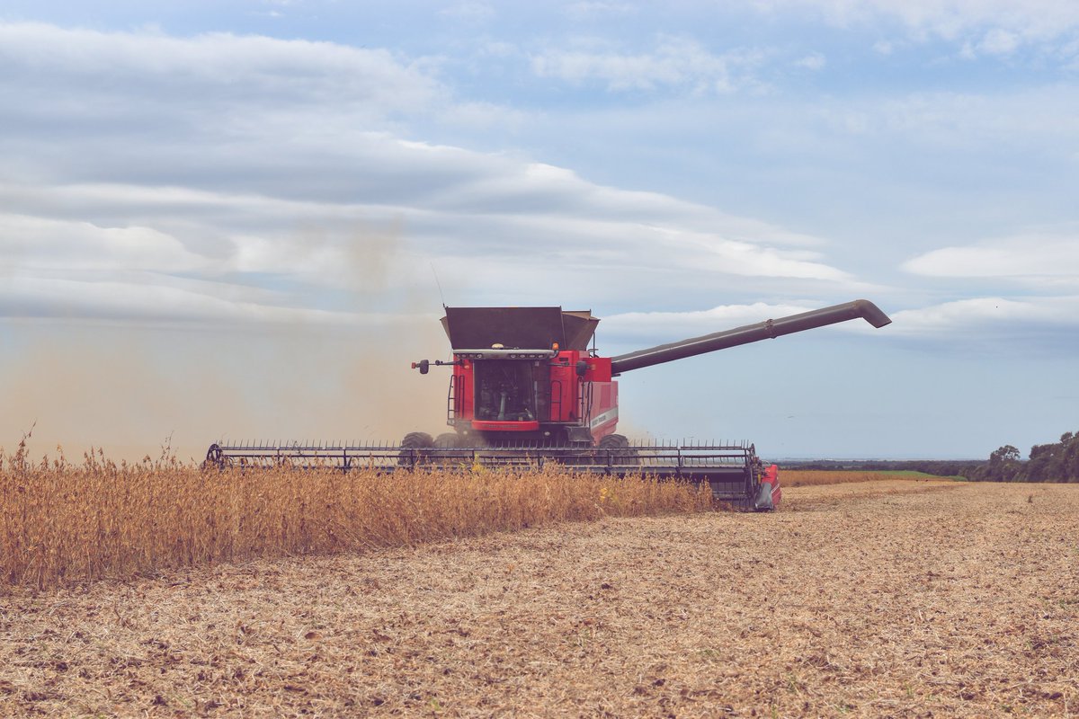AGD TUCUMÁN tweet media