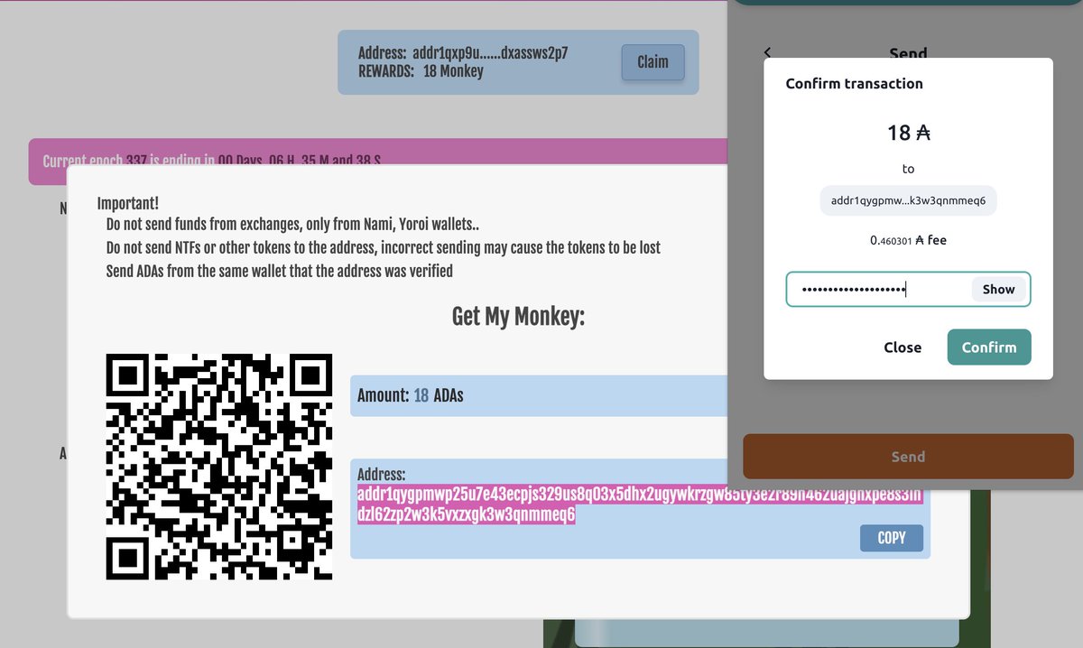 Rodrigo Ávila tweet media