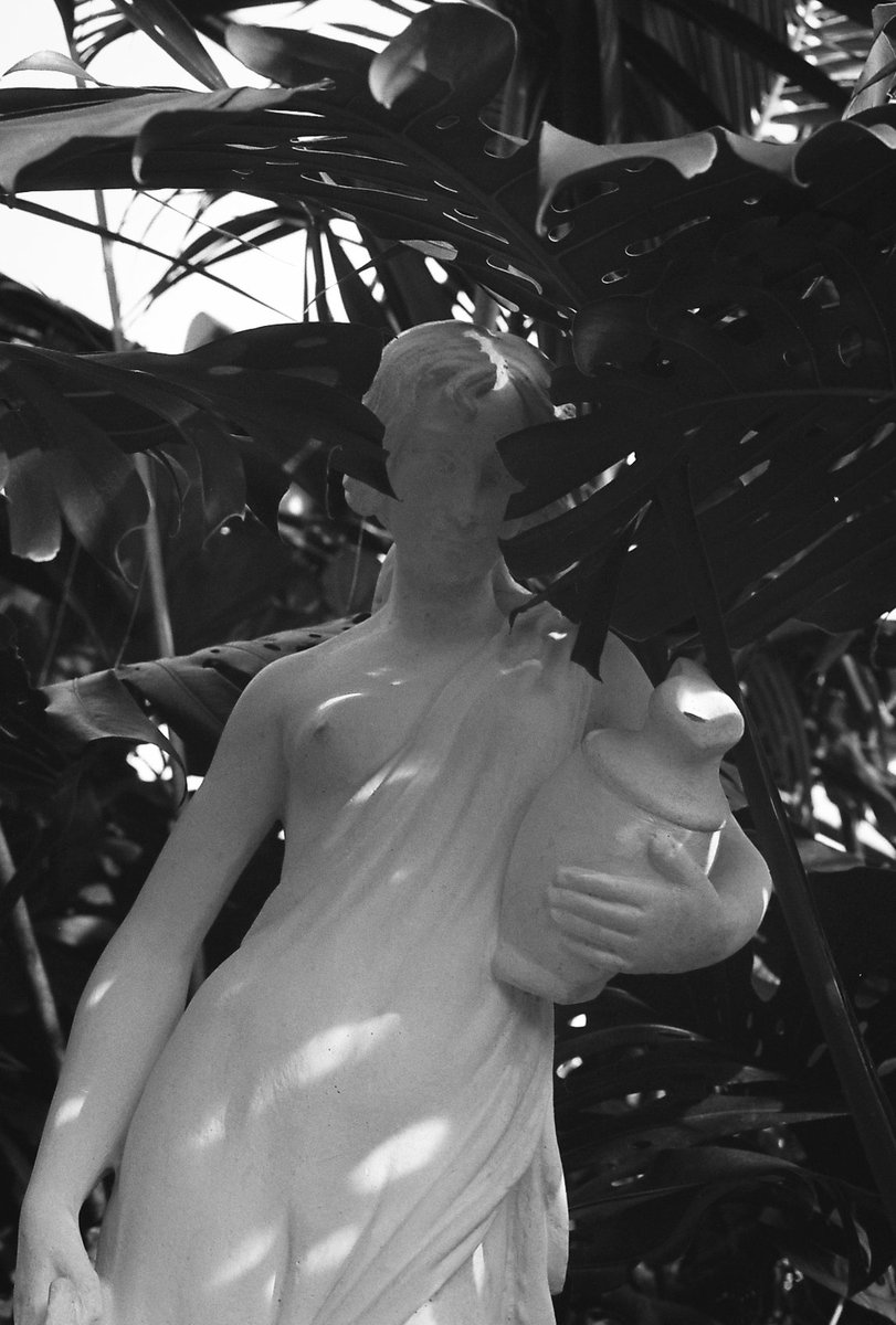 emsus_christ's tweet photo. Finally got my film from my Loch ness trip developed and my god am I happy although yes I used black and white film in a place perfect for colour, im sad about it too 🙃 https://t.co/nScK2NzMQe