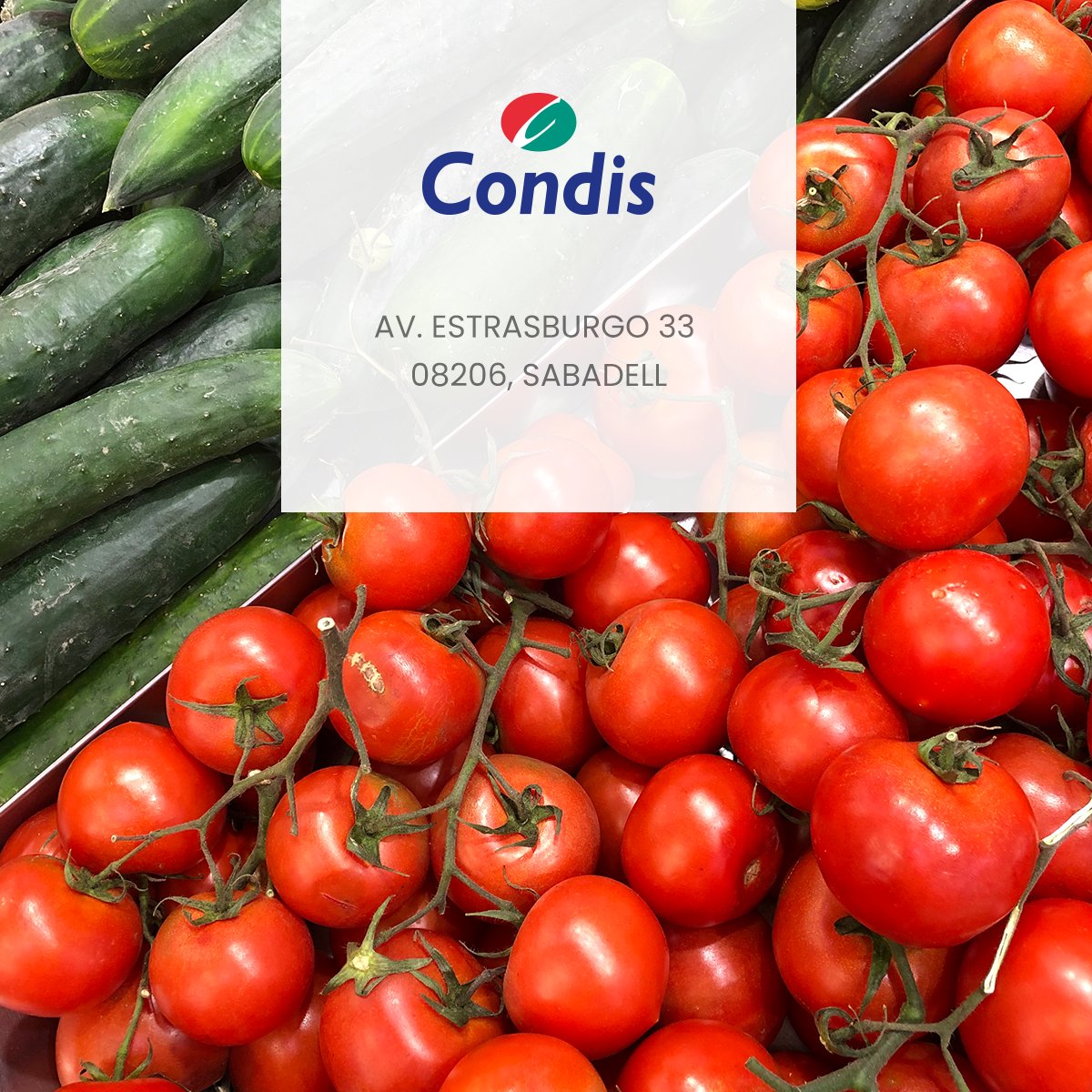 Condislife's tweet photo. Avui hem obert un nou Condis a Sabadell. 📢
Ens podeu trobar a Av. Estrasburgo 33, 08206, Sabadell 📍 https://t.co/7LU8oA1wXO
Us esperem!
#CondisCreix #CondisBarcelona #CondisAmbTu #Condis #CondisLife #Alimentació #Supermercat #Barcelona #Sabadell https://t.co/nOkbA0uT1x
