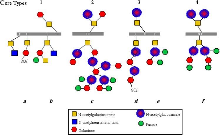 badglycans tweet media