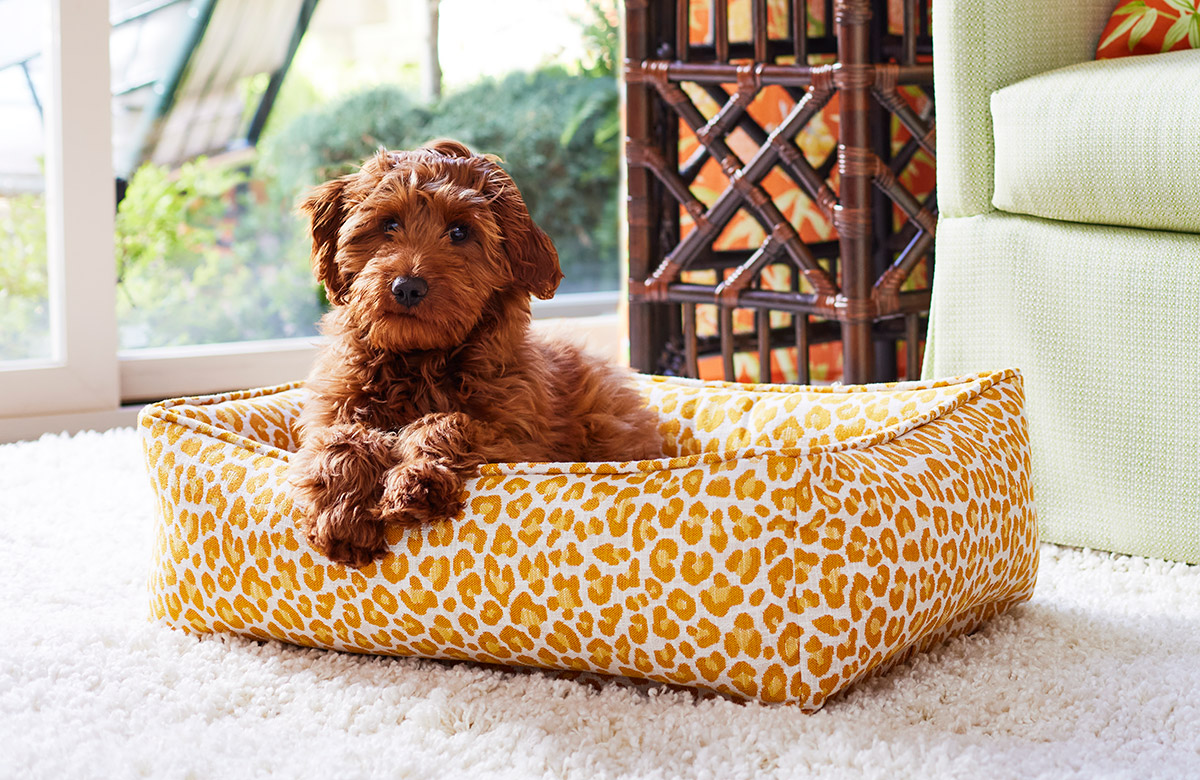 thescalamandre tweet media