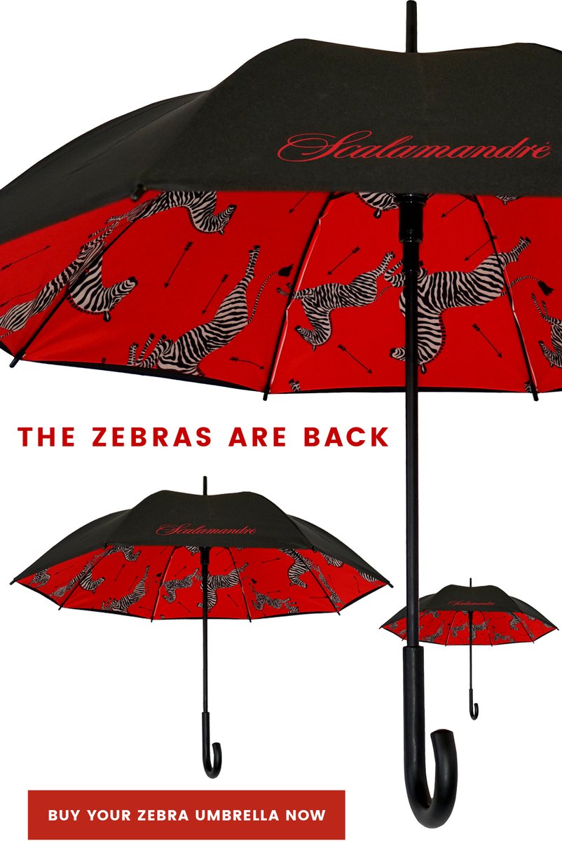 thescalamandre tweet media