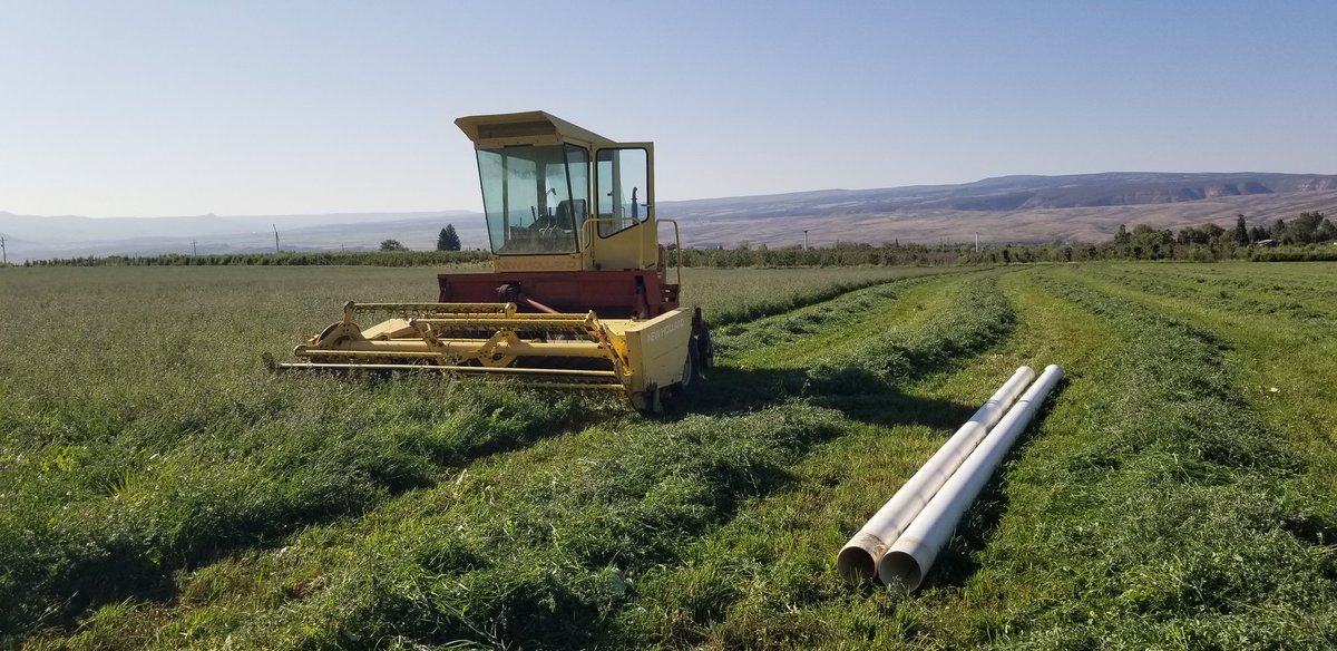 JasonWrich's tweet photo. Luckily I still have some non-computer controlled tractors around! #TrustyRusty #oldiron https://t.co/sFYYsA5AEn
