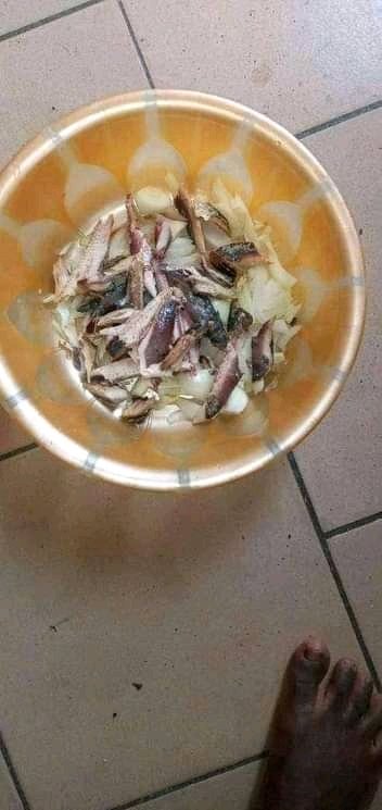 Cryptobuddiee's tweet photo. #JAMB #Another12 #ASUU #WhatsApp 
Saw this post(images) of how to prepare Mango porridge...omorr it looks weird😂😩😩👇👇👇
Check Thread 🧵.... https://t.co/SN2pIYXKmu